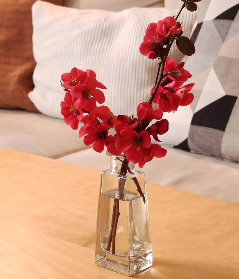 Guest House With Garden Terrace - Free Parking Vienna 0*,  Austria